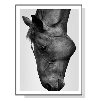 Wall Art 60cmx90cm Modern Black Horse Black Frame Canvas