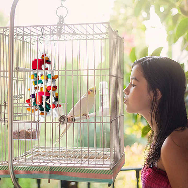 Colorful Parrot Toy with Wooden Beads, Blocks, and Cotton Rope - Chewing and Climbing Fun for Birds